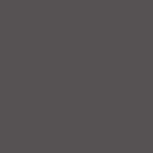FH Fine Hammer Embossed