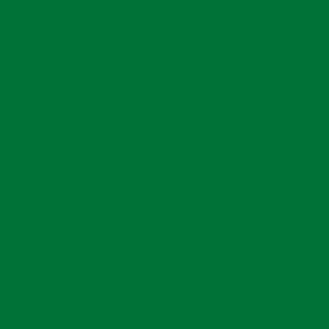 FH Fine Hammer Embossed