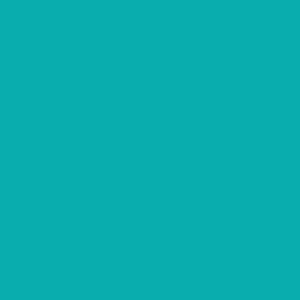 FH Fine Hammer Embossed