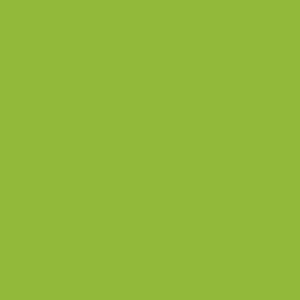 polyrey-cactus-c049